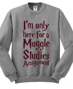 I'm Only Here For A Muggle Studies Assignment Sweatshirt