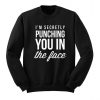 I'm Secretly Punching You in the Face, Sarcasm College Sweatshirt