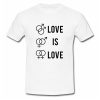 Love Is Love T Shirt