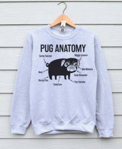 Pug, Pug Sweater, Pug Sweatshirt