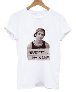 Perfection is my name tyler posey T shirt