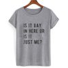 Is It Gay In Here Or Is It Just Me T shirt