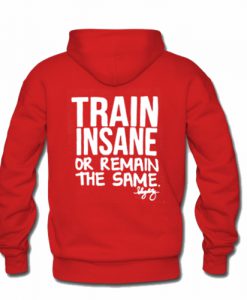 Train insane or remain the same hoodie back