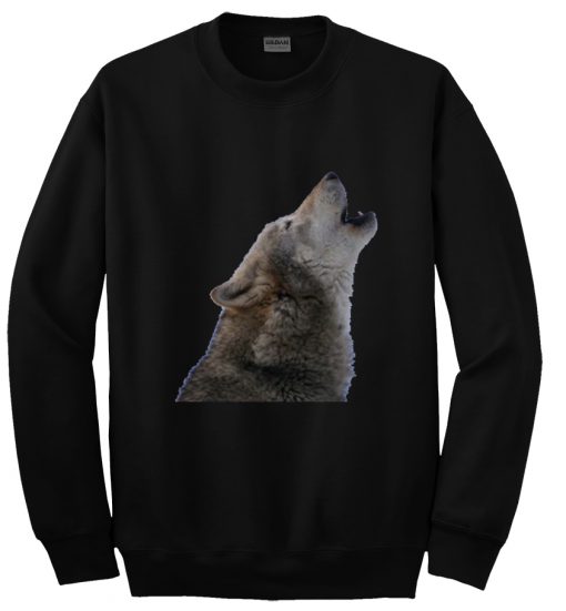 Wolf troye sivan sweatshirt