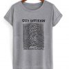 guy division tshirt GREY