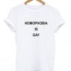 homophobia is gay tshirt