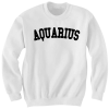 AQUARIUS SWEATSHIRT TEAM AQUARIUS SHIRT ZODIAC SIGN SHIRTS COOL SHIRTS