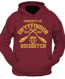 Property Of Gryffindor Quidditch Team Harry Potter Hoodie