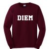 diem maroon sweatshirt