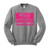 HELLO my name is UNICORN sweatshirt