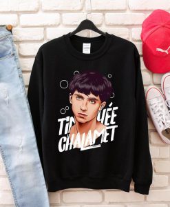 Timothee Chalamet sweatshirt