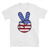 America is penniless, the sign of victory t shirt