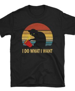 I Do What I Want Funny Vintage Cat Shirt,