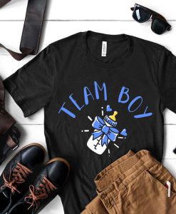 Gender Reveal Shirts, Boy Gender Reveal Party Shirts, Team Boy Tshirt