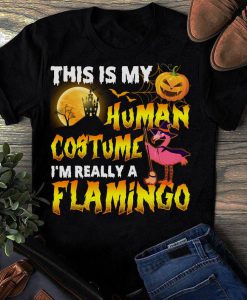 T-shirt Human Costume Flamingo Halloween, Flamingo Witch t shirt