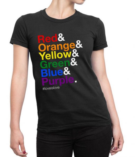 GAY Pride Shirt, LGBTQ Rights Shirt, LGBTQ Rights Clothing, Queer Pride Shirt