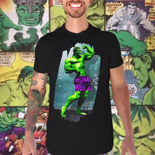 Hulk Comic Graphic T Shirt for The Gym