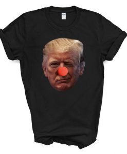 Anti-Trump Shirt, Election T-Shirt