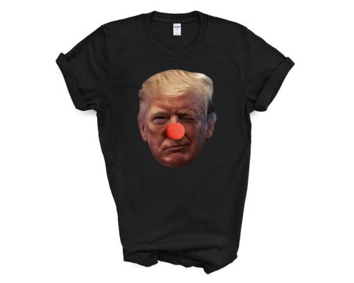 Anti-Trump Shirt, Election T-Shirt