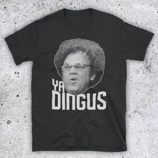 Dr Steve Brule Ya Dingus John C Reilly Comedy Check It Out Brule's Rules Unofficial T-Shirt