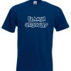 Flamin Groovies T Shirt