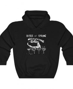 Rites of Spring Hoodie, Post-Hardcore Band, Unisex Hoodie