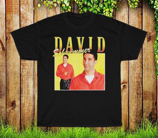 David Schwimmer T Shirt