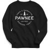 Parks & Rec Sweatshirt, Vintage Sweatshirt, Retro Shirt, Women's, Men's, Sebastian Shirt, Pawnee