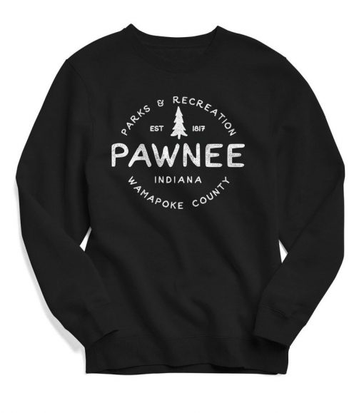 Parks & Rec Sweatshirt, Vintage Sweatshirt, Retro Shirt, Women's, Men's, Sebastian Shirt, Pawnee