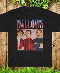 Wallows T-Shirt, Wallows Vintage Tee Shirt