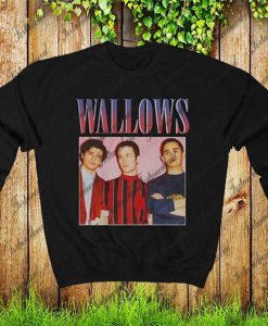 Wallows Unisex sweatshirt