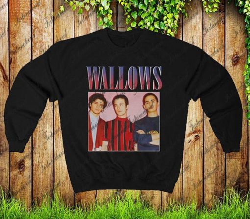 Wallows Unisex sweatshirt