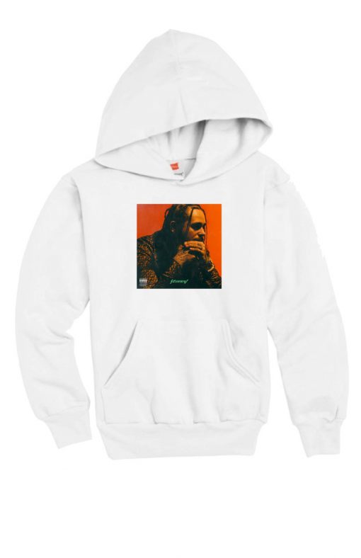 Post Malone Stoney Album Cover Hoodie