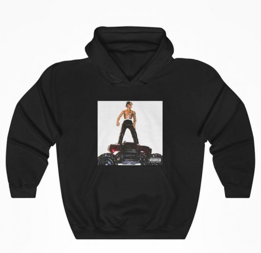 Travis Scott - Rodeo Hoodie