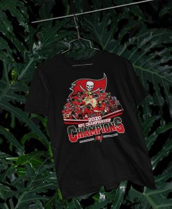 Super Bowl Champions 2021 Tshirt, Buccaneers Shirt, Tampa Bay Buccaneers Lover Shirt