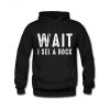 Geologist Hoodie