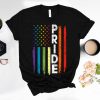 LGBT Pride Rainbow Flag Patriotic America Shirt, LGBT T-shirt