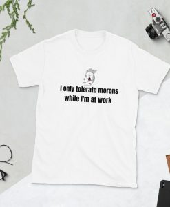 I only tolerate morons while I'm at work Funny shirt, funny saying, funny saying shirt, funny saying t-shirt