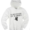 5 Seconds Of Summer Hoodie