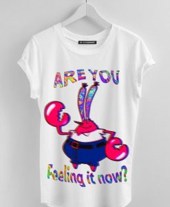 Are you feeling it now Mr Krabs T shirt