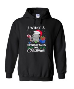 I Want A Hippopotamus For Christmas Hoodie