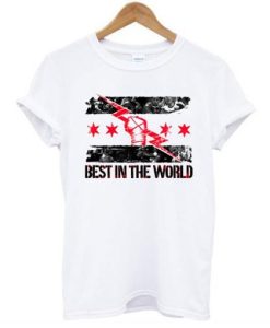 CM Punk Best in The World t shirt