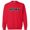 Brown University sweatshirt