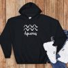 Aquarius Zodiac Hoodie